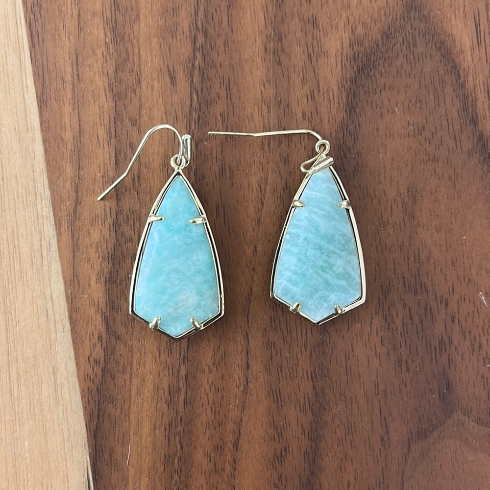 Kendra Scott Dangly Earrings